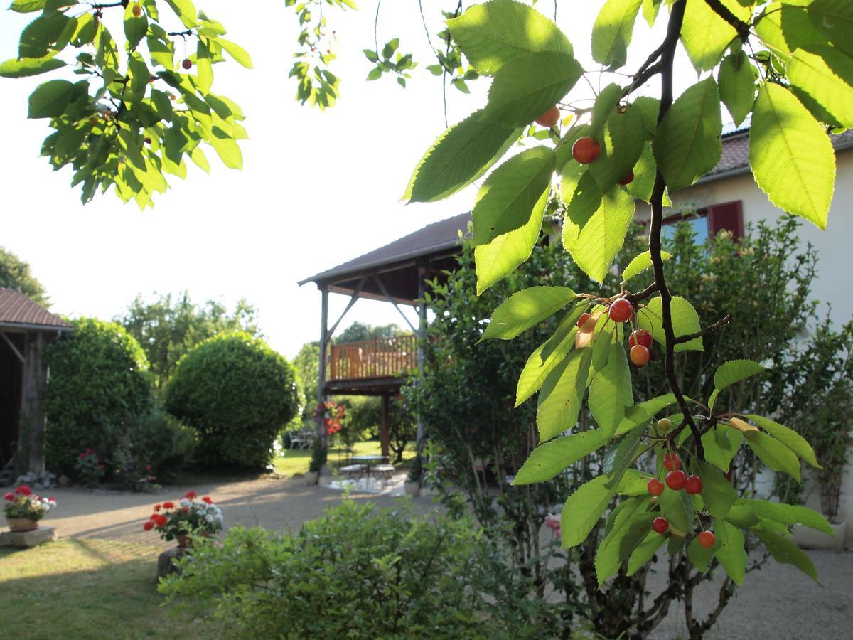 Hôtel Les Jardins de Lily à Saint-Léonard-de-Noblat Extérieur photo